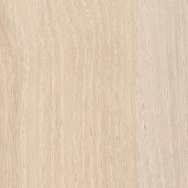 Acacia